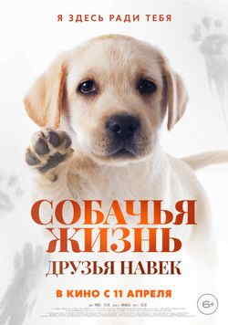 Собачья жизнь: Друзья навек (2024)