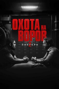 Охота на воров 2: Пантера (2025)