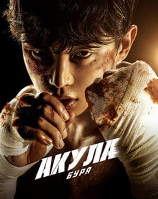 Акула: Буря (1 сезон) Акула: Буря (1 сезон)